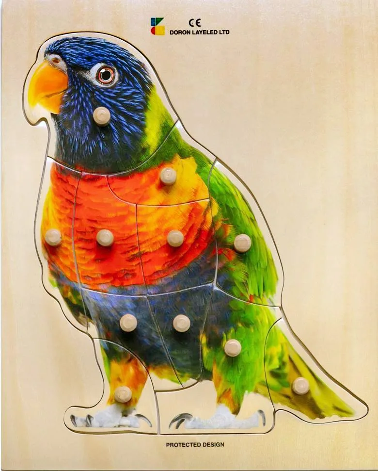 Parrot – 10 Pieces