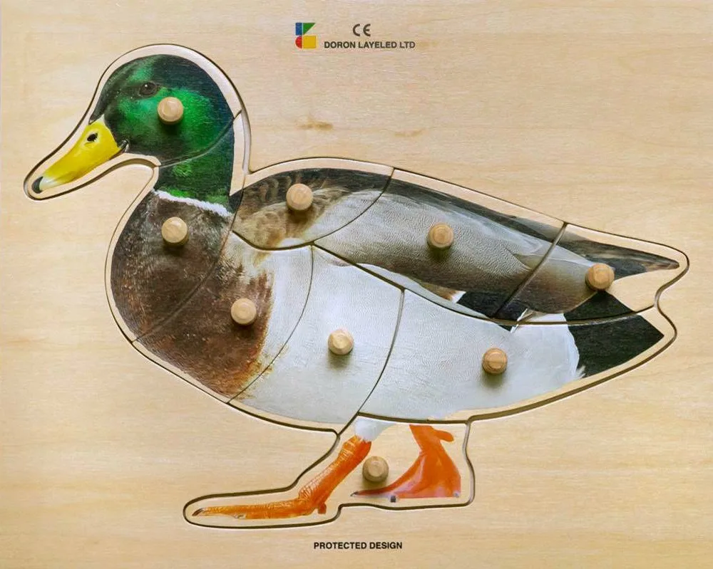 Duck – 8 Pieces