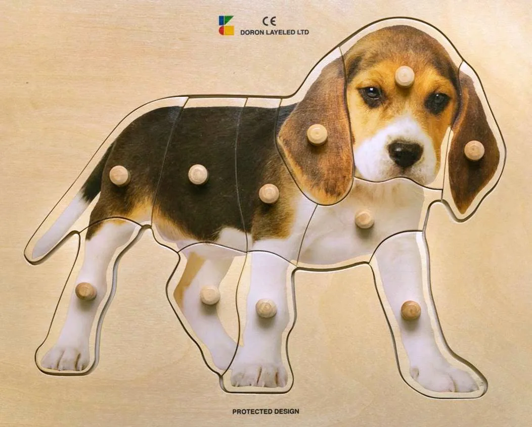 Puppy – 11 Pieces