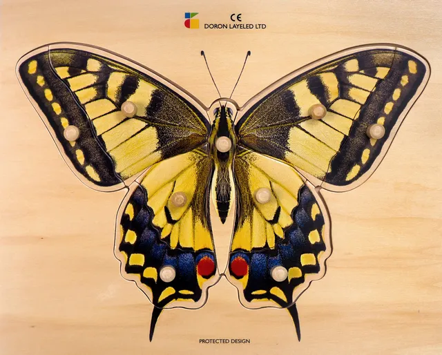 Yellow butterfly – 9 Pieces
