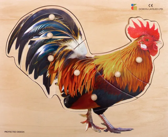 Rooster – 7 Pieces