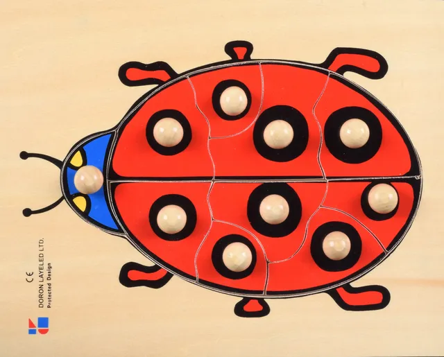 Ladybird – 9 Pieces