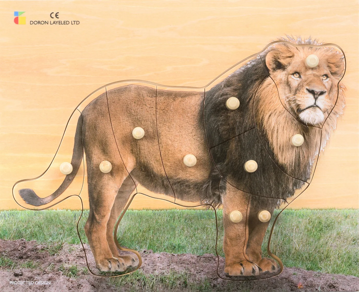 Lion – 10 Pieces
