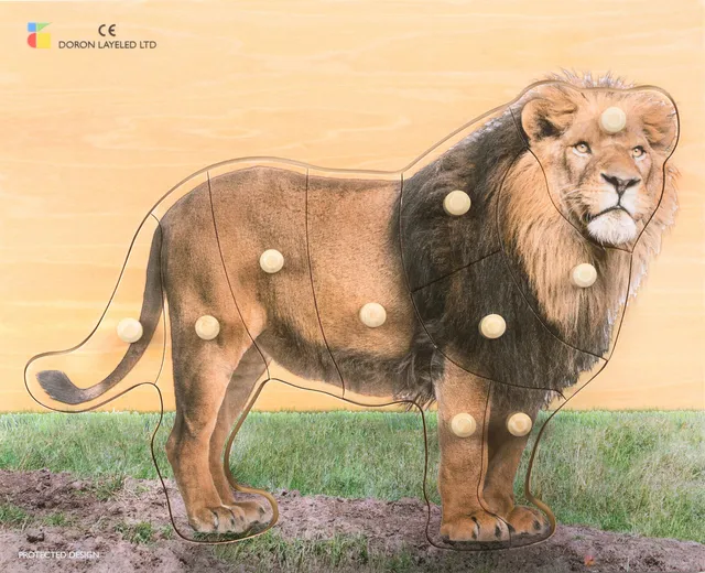 Lion – 10 Pieces