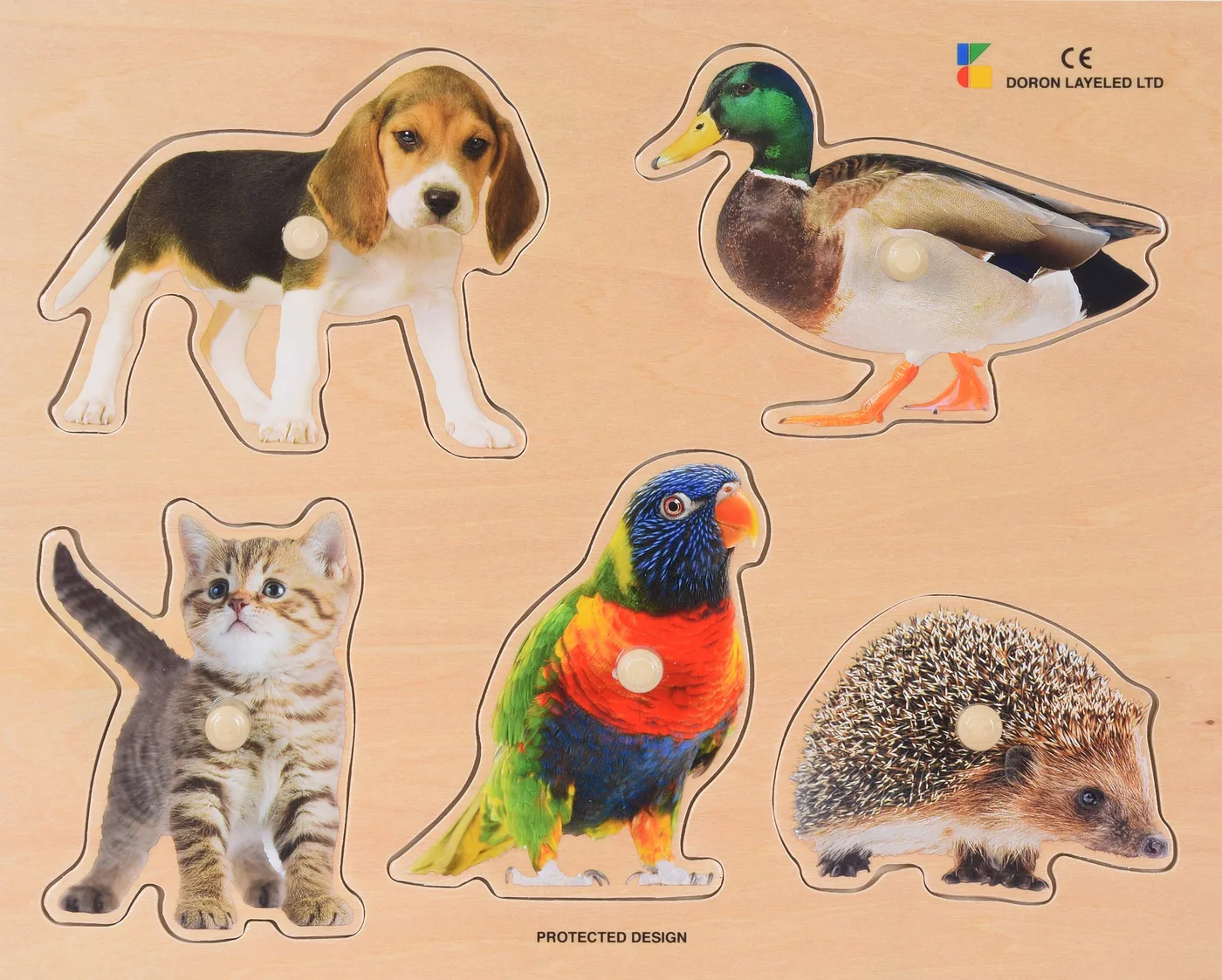 Friendly Animal's
