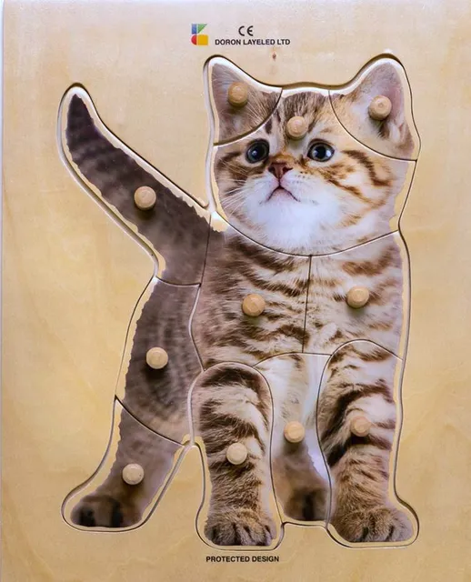 Kitten – 11 Pieces