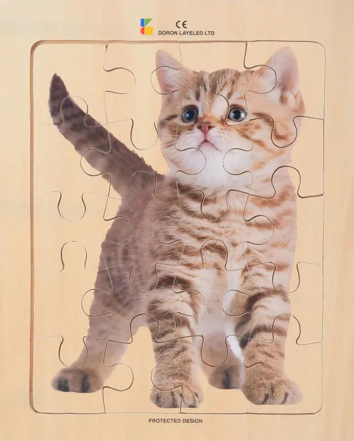 Kitten – 20 Pieces