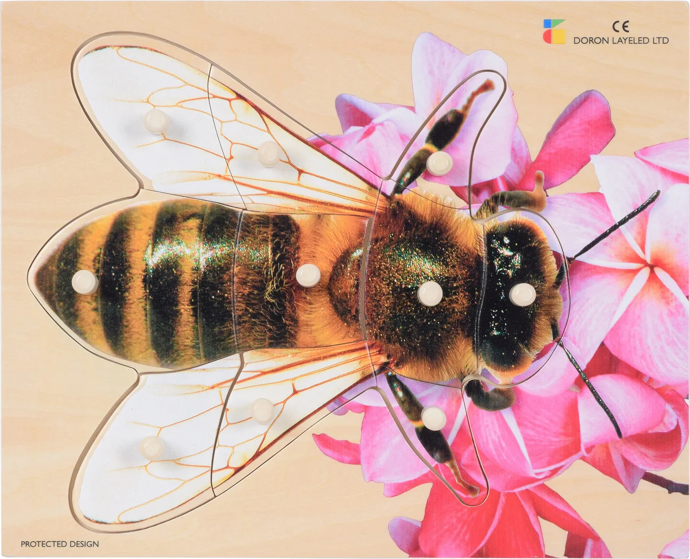 Bee – 6 Pieces