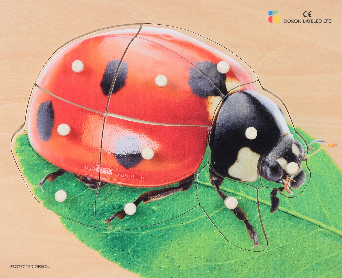 Ladybird – 10 Pieces