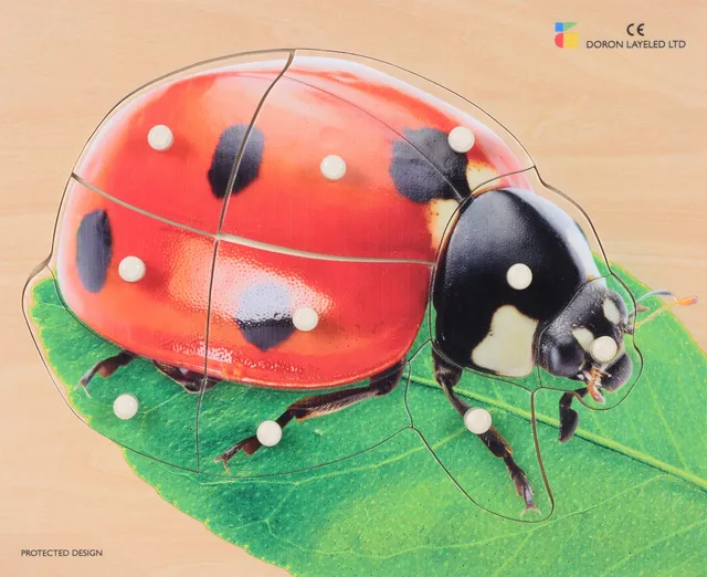 Ladybird – 10 Pieces