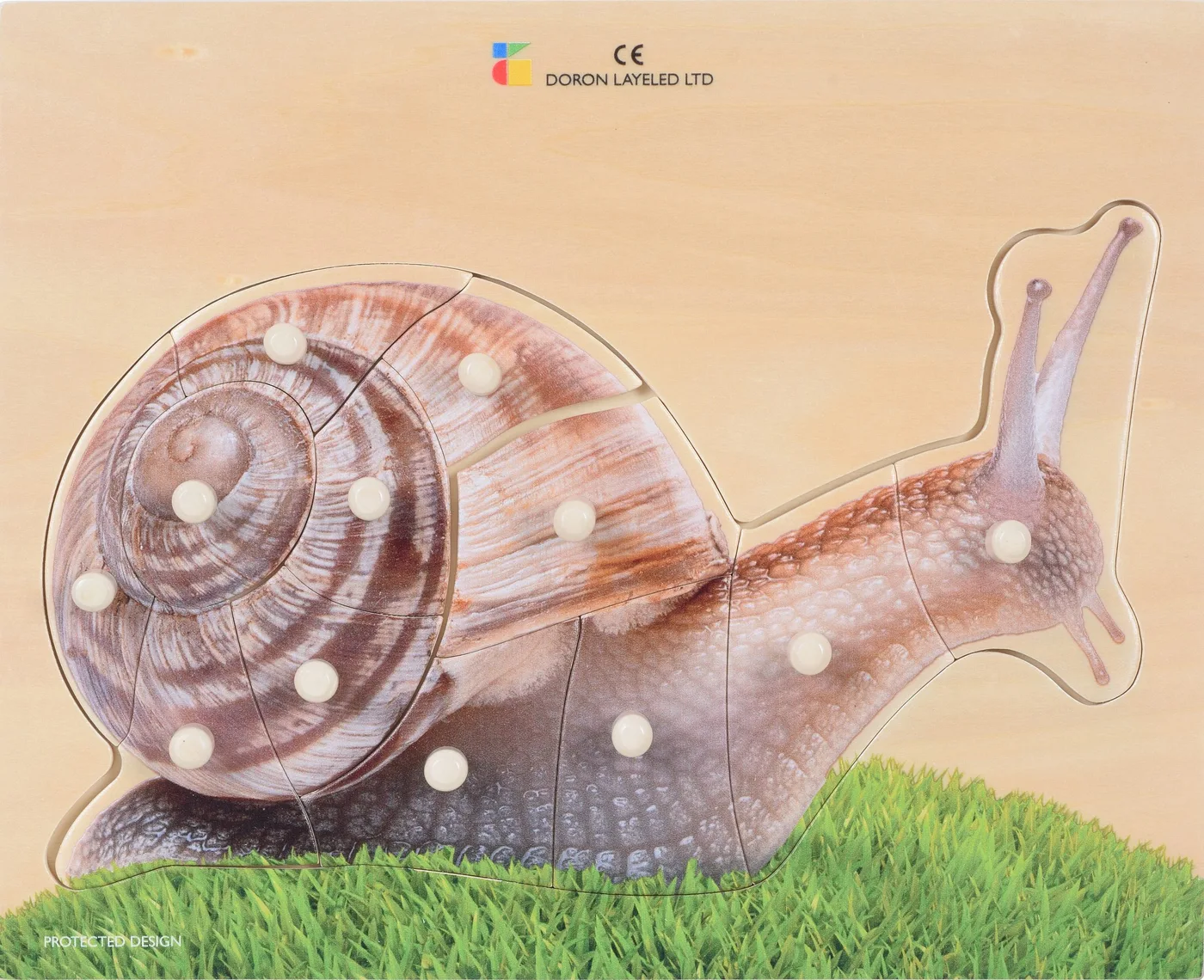 Snail – 12 Pieces