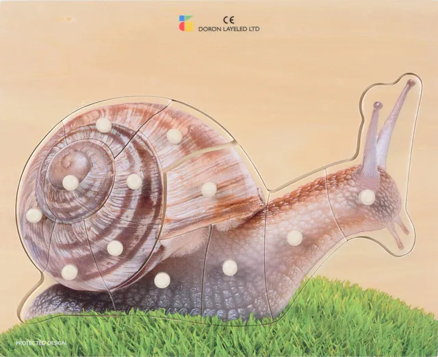 Snail – 12 Pieces