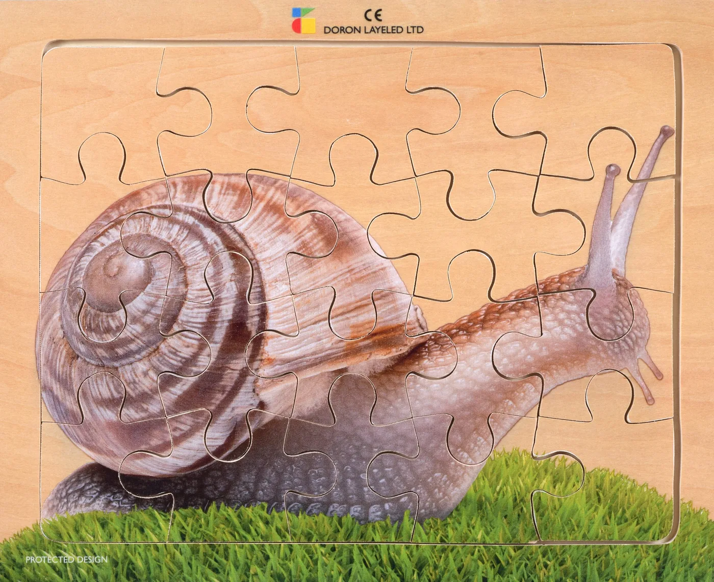 Snail – 20 Pieces