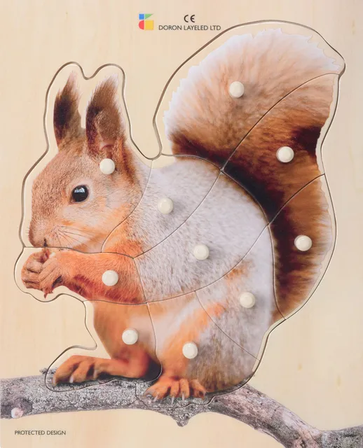 Squirel – 10 Pieces
