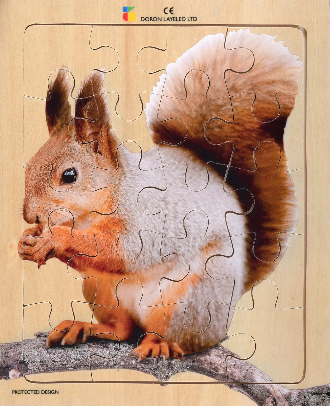 Squirel – 20 Pieces