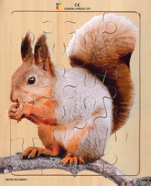 Squirel – 20 Pieces