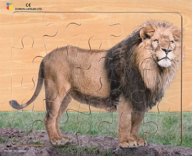 Lion – 20 Pieces