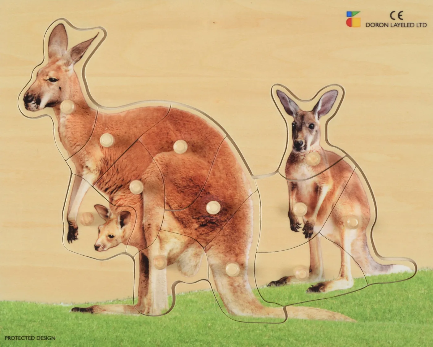 Kangaroo-10 Pieces