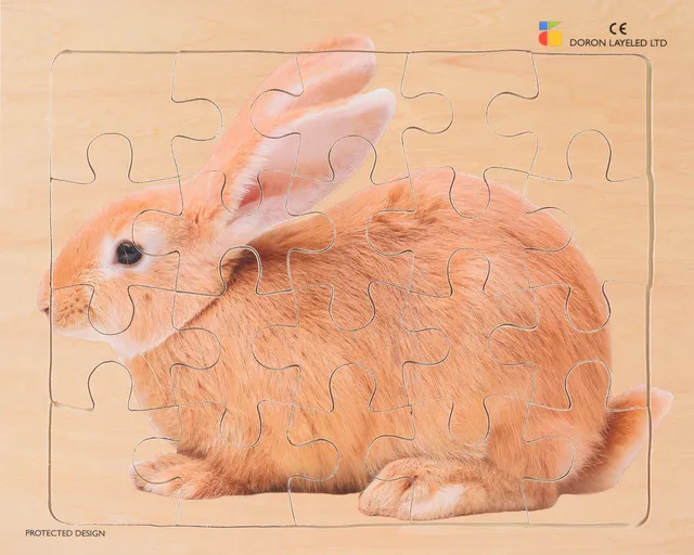Bunny – 20 Pieces