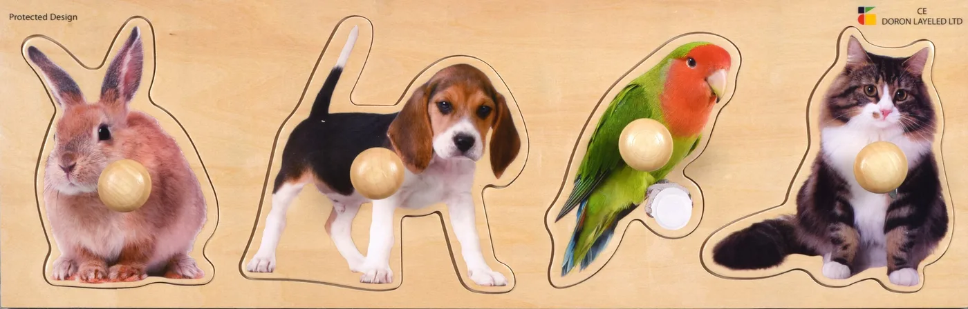 Pet