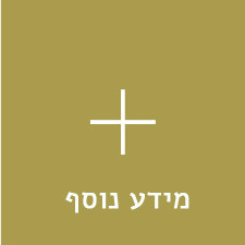 מידע נוסף