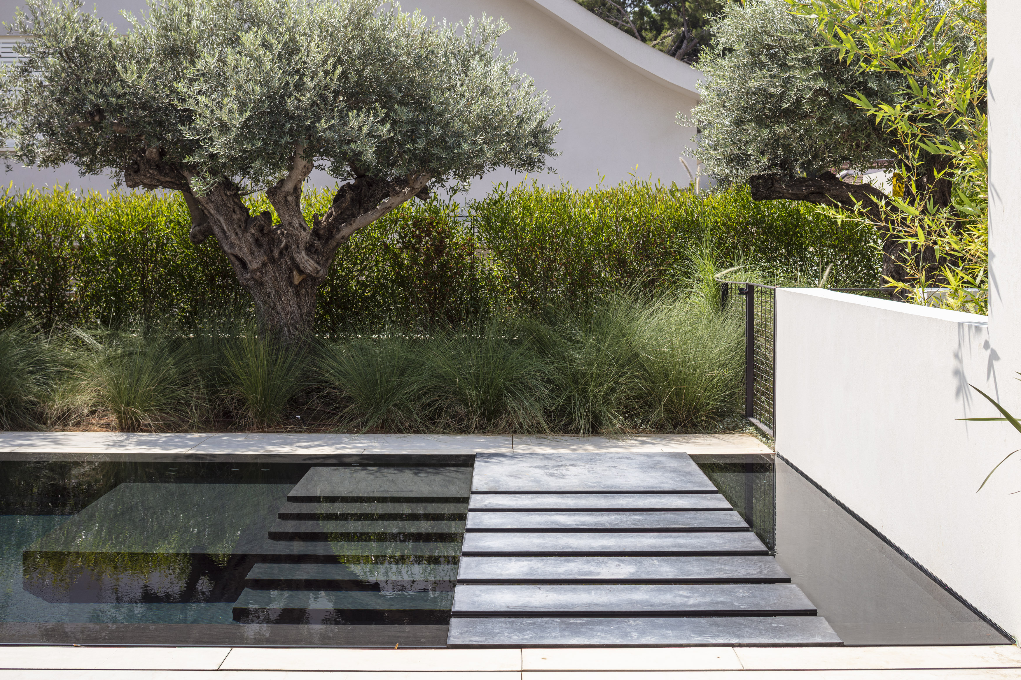 SDT House 6