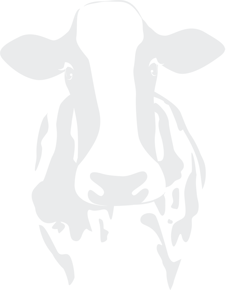 The Cow Shed Media Services | Business Affairs The Cow Shed Media Services | Business Affairs
