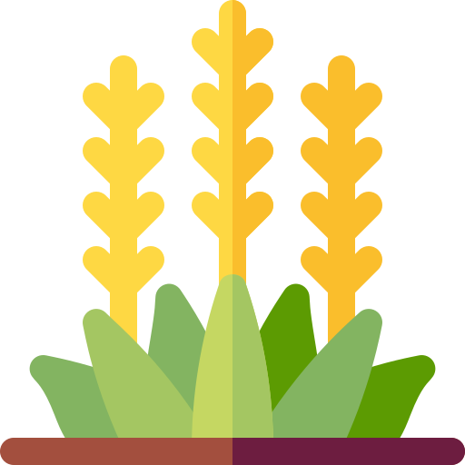 Wildflower Wildflower
