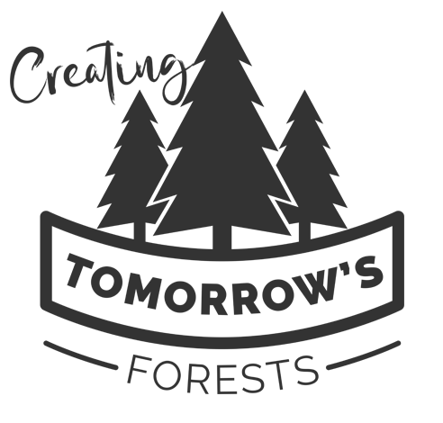 Creating Tomorrow's Forest