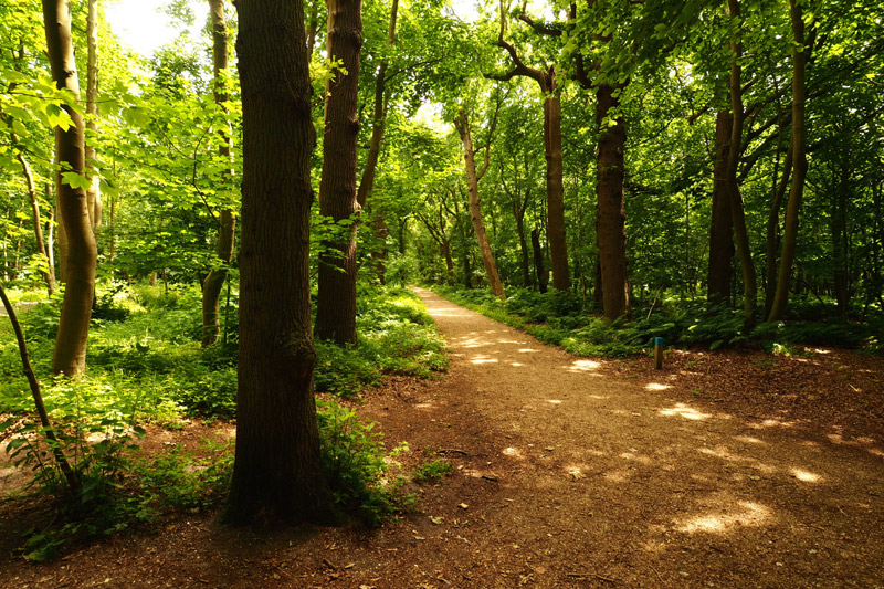 Puttenham Care Home, Guildford, UK Puttenham Care Home, Guildford, UK