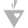CAREots
