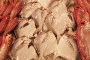 Hong Kong Local Markets - Private Tour