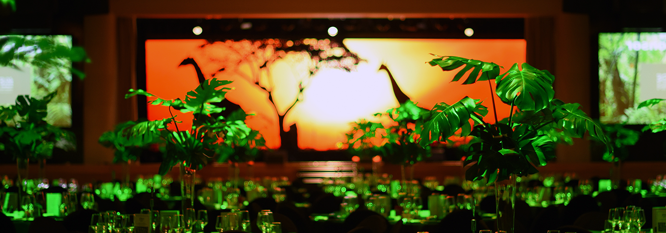 C80D3C4C-19C9-1DCA-2410-E003B5ECE53F.png