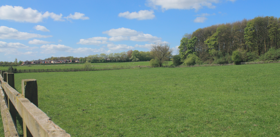 Sniperhide viewed from 150yds out on Crow shoot