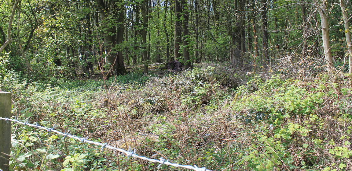 Sniperhide set up early evening prior to dusk, for Fox control operation on Sheep farm.
