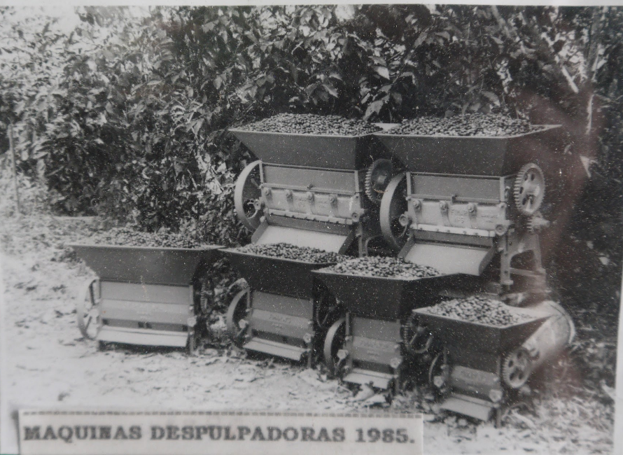 PRIMERA  DESPULPADORA