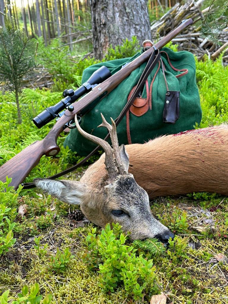 Bockjagd Kesslerin 6,5x57