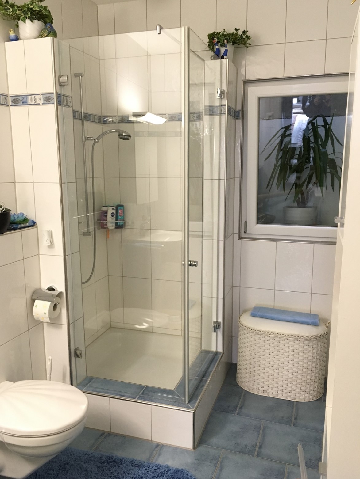 Ganzglas Dusche Müllheim