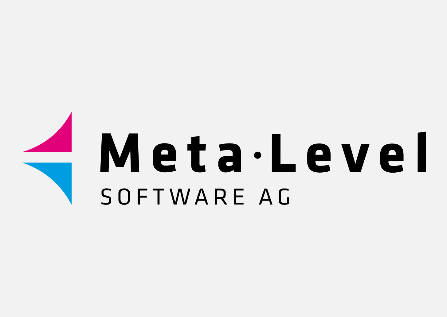 Meta Level Software