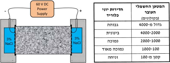 תהליכי התפתחות קורוזיה במוטות זיון