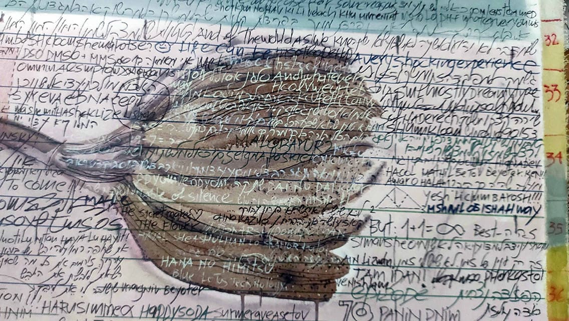 Maya Dunsky — work 2