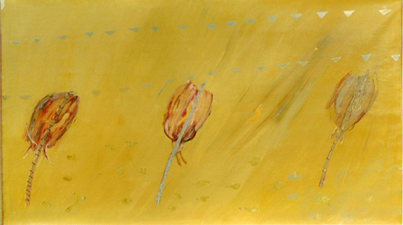 Insane Flowers, Series — 4