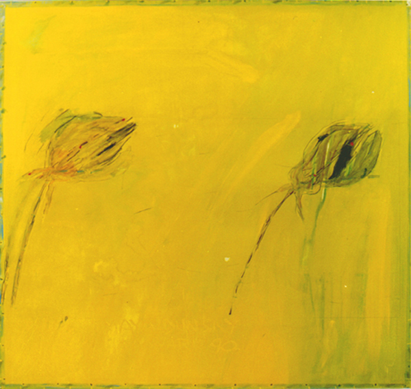 Insane Flowers, Series — 5