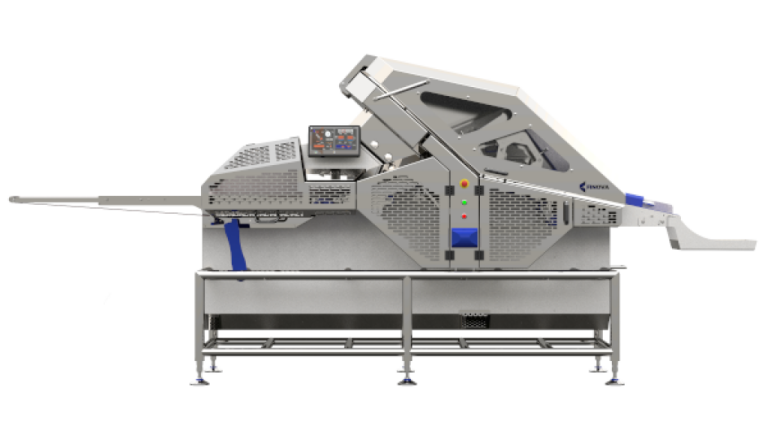 finova 29