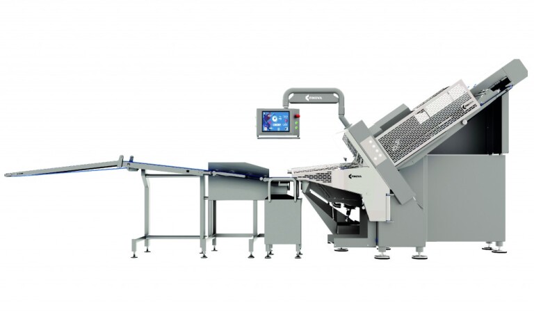 finova 13