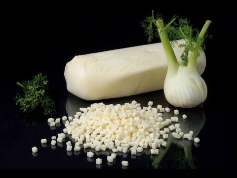 FOODLOGISTIK 21