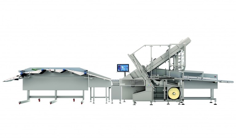 finova 17