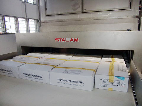 stalam 9