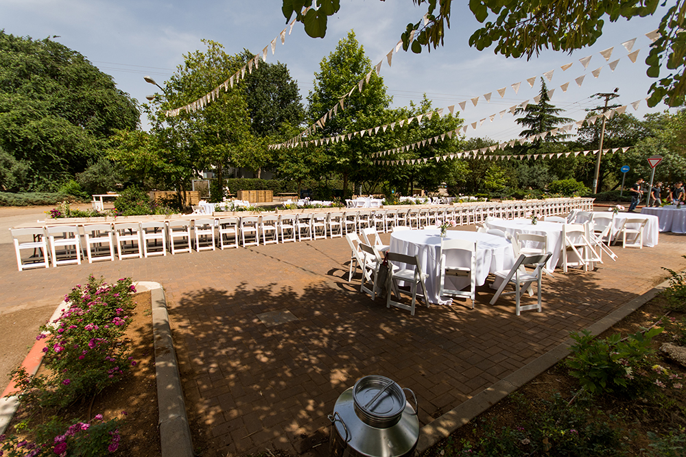 בזלת הפקות - גלריה 103