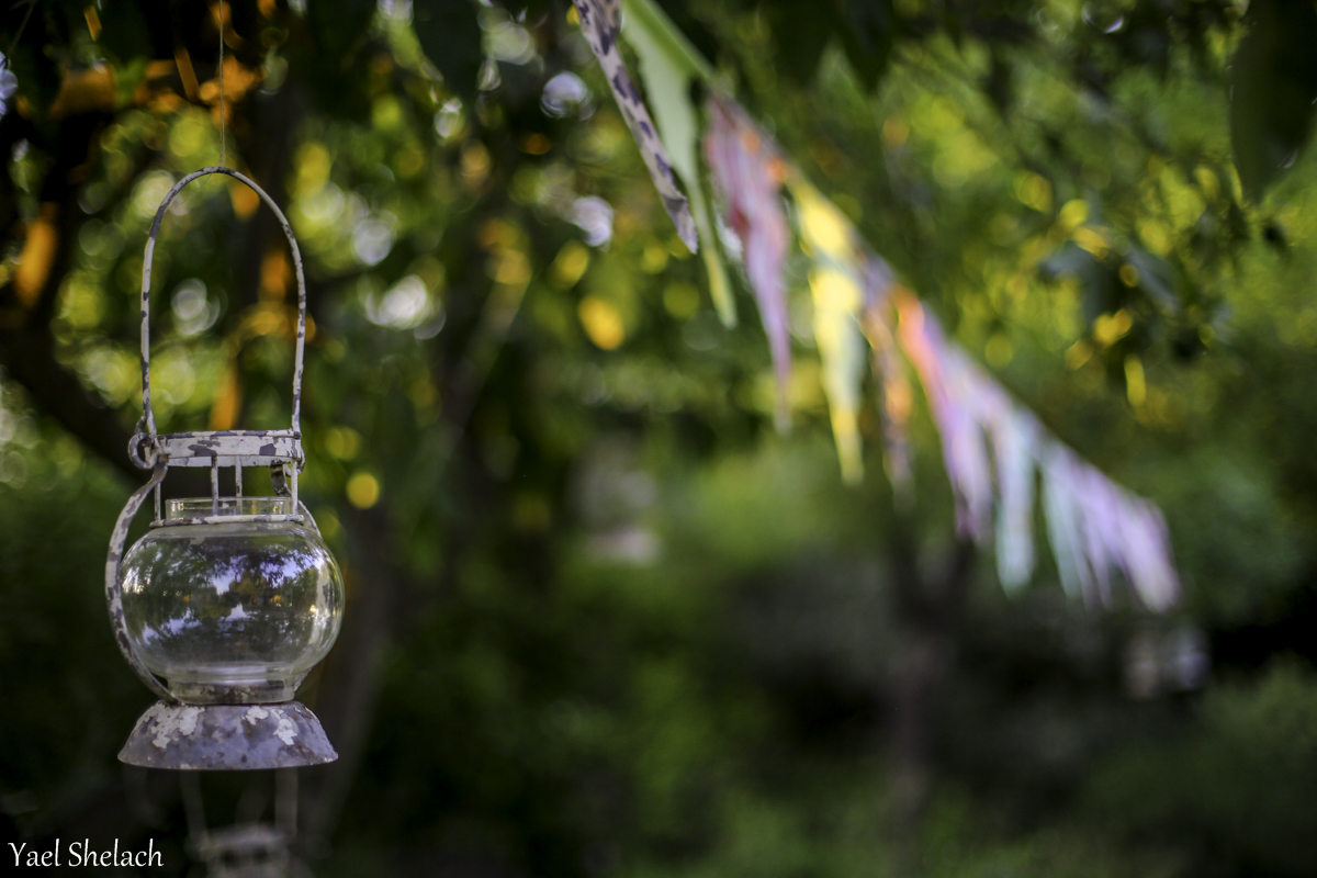בזלת הפקות - גלריה 32